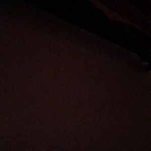 Meet your Posher, Jayla